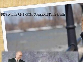 Mère - BISS Multi RBIS Can. GCH Sagagold Tutti Frutti OD
